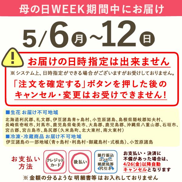 母の日 花とスイーツ プレゼント 花 2024 ギフト お菓子 ガーベラ 花束 スイーツ 花とお菓子 洋菓子 女性 おしゃれ かわいい 50代 60代 70代 80代｜oimoya｜19