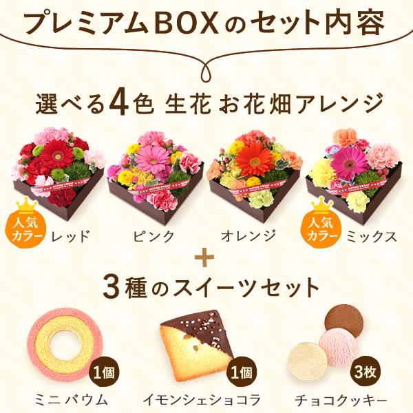 母の日 花とスイーツ プレゼント 花 2024 ギフト お菓子 ガーベラ 花束 スイーツ 花とお菓子 洋菓子 女性 おしゃれ かわいい 50代 60代 70代 80代｜oimoya｜03