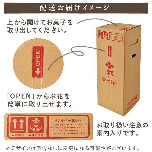 母の日 ギフト 花 カーネーション 2025 プレゼント 鉢植え 花鉢 お菓子 スイーツ 母の日ギフト 5号鉢 花とスイーツ 50代 60代 70代 80代 | おいもや | 13