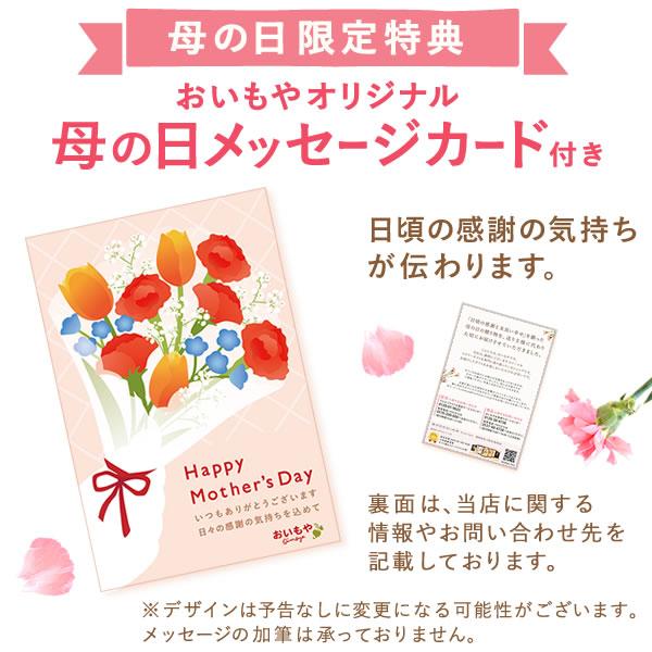 母の日 ギフト 花 カーネーション 2026 プレゼント 鉢植え 花鉢 母の日ギフト 5号鉢 花とスイーツ お菓子 スイーツ 50代 60代 70代 80代 | おいもや | 17