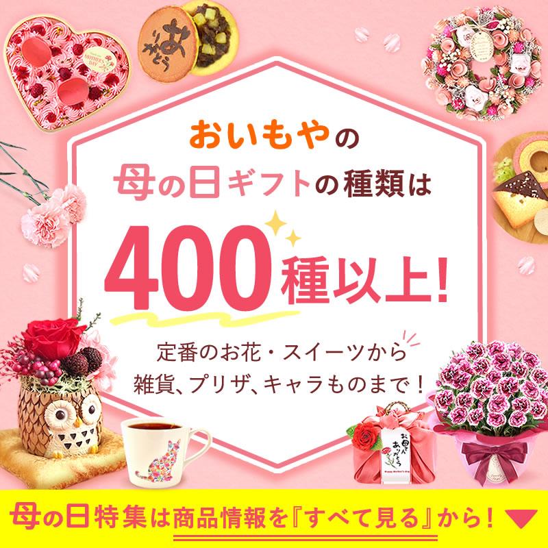 母の日 ギフト 花 カーネーション 2025 プレゼント 鉢植え 花鉢 お菓子 スイーツ 母の日ギフト 5号鉢 花とスイーツ 50代 60代 70代 80代 | おいもや | 17
