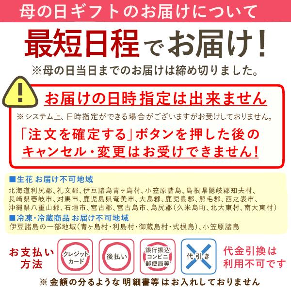 母の日 ギフト 花 カーネーション 2026 プレゼント 鉢植え 花鉢 母の日ギフト 5号鉢 花とスイーツ お菓子 スイーツ 50代 60代 70代 80代 | おいもや | 18