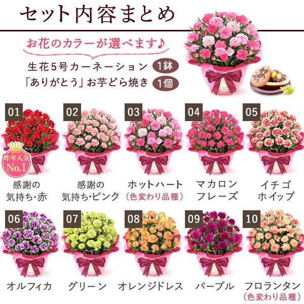 母の日 ギフト 花 カーネーション 2025 プレゼント 鉢植え 花鉢 お菓子 スイーツ 母の日ギフト 5号鉢 花とスイーツ 50代 60代 70代 80代 | おいもや | 02