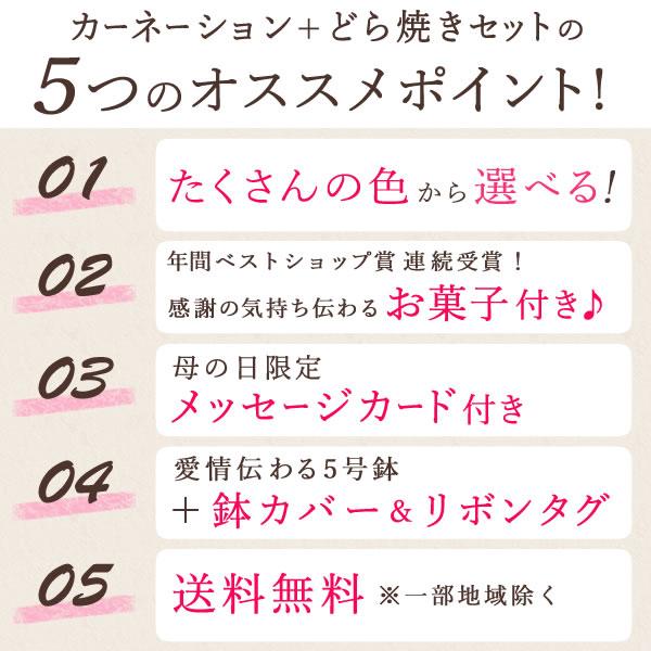 母の日 ギフト 花 カーネーション 2025 プレゼント 鉢植え 花鉢 お菓子 スイーツ 母の日ギフト 5号鉢 花とスイーツ 50代 60代 70代 80代 | おいもや | 04