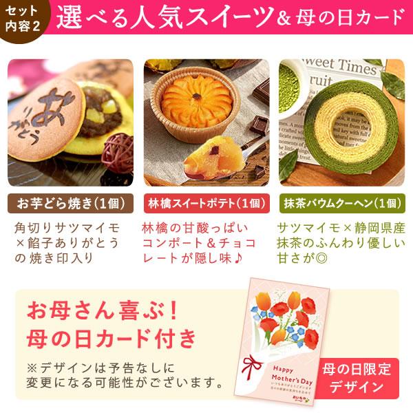 母の日 ギフト 花 カーネーション 2026 プレゼント 鉢植え 花鉢 母の日ギフト 5号鉢 花とスイーツ お菓子 スイーツ 50代 60代 70代 80代 | おいもや | 04