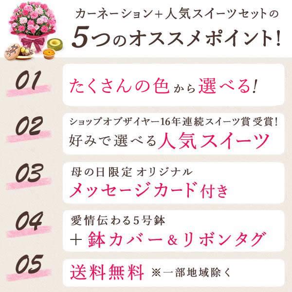 母の日 ギフト 花 カーネーション 2026 プレゼント 鉢植え 花鉢 母の日ギフト 5号鉢 花とスイーツ お菓子 スイーツ 50代 60代 70代 80代 | おいもや | 05