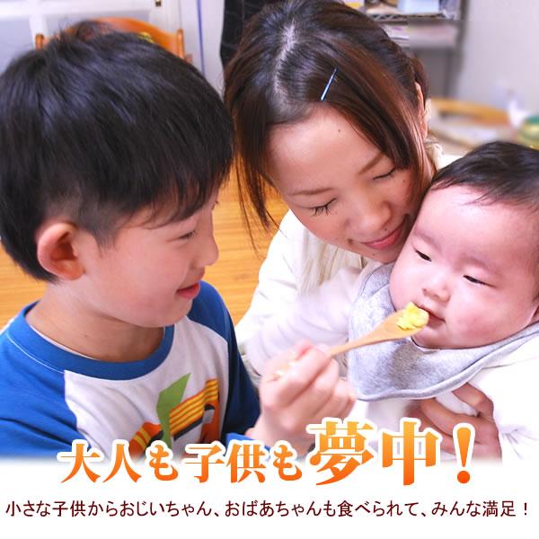 焼き芋 人気の紅はるか やきいも 冷凍焼き芋 500gセット スイーツ さつまいも 5 花とスイーツ おいもや 通販 Yahoo ショッピング