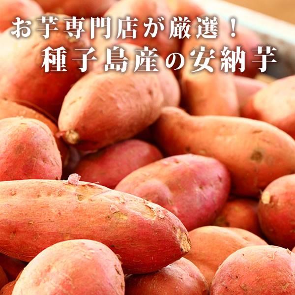 安納芋 さつまいも 種子島産 国産サツマイモ 2kg｜oimoya｜02