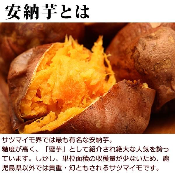 安納芋 さつまいも 種子島産 国産サツマイモ 2kg｜oimoya｜03