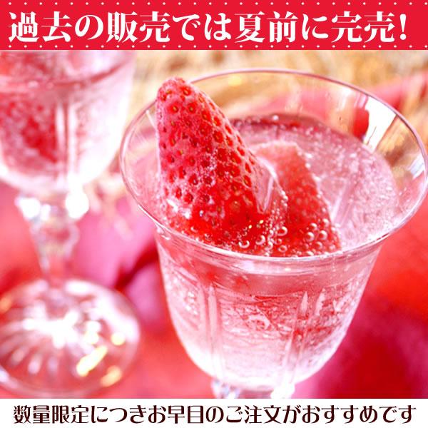 おいもや 冷凍いちご いちご イチゴ 冷凍苺 冷凍 冷凍フルーツ おいもや 冷凍いちご いちご イチゴ 冷凍苺 冷凍 冷凍フルーツ