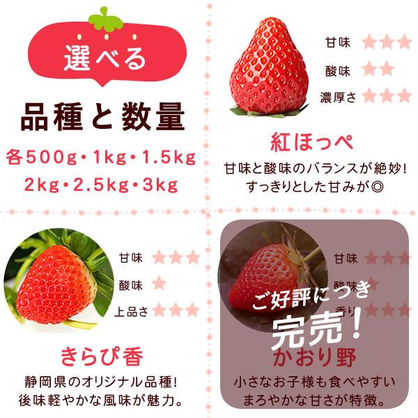 おいもや 冷凍いちご いちご 冷凍 訳あり イチゴ 苺 フルーツ 国産