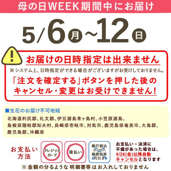 母の日 プレゼント 花 2024 ギフト 胡蝶蘭 鉢植え お菓子 花鉢 花とスイーツ スイーツ 洋菓子 かわいい カーネーション以外 50代 60代 70代 80代｜oimoya｜18