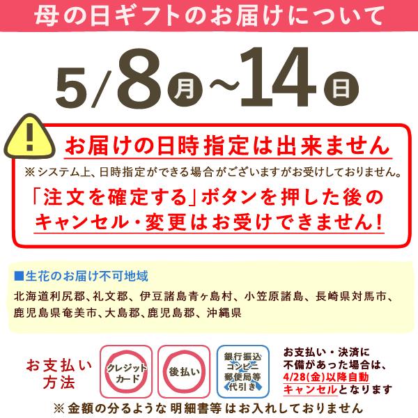 母の日 2023 プレゼント ギフト 花 スイーツ 花とスイーツ 鉢植え 花鉢 お菓子 母の日ギフト 胡蝶蘭 60代 70代 80代｜oimoya｜10