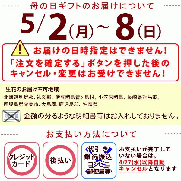 母の日ギフト 花 母の日 プレゼント 花とスイーツ 21 ギフトランキング 胡蝶蘭 鉢植え お菓子 5 花とスイーツ おいもや 通販 Yahoo ショッピング
