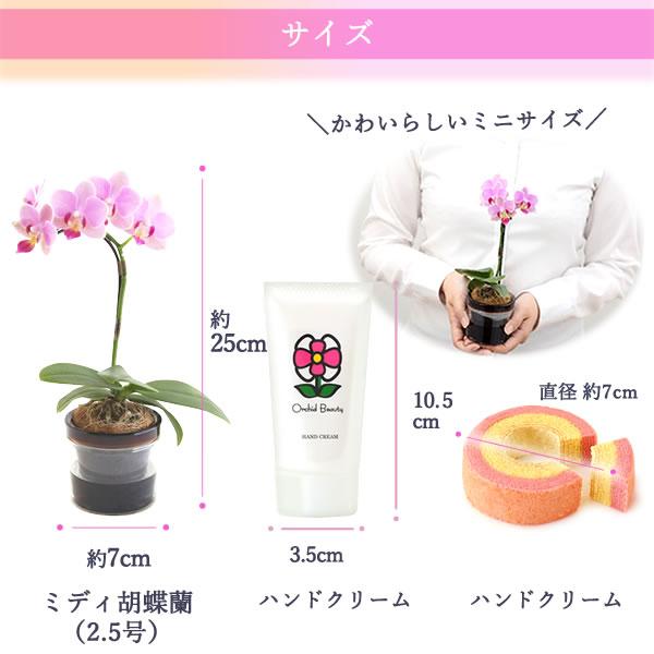 おいもや 母の日 胡蝶蘭 花とスイーツ プレゼント 2025 ギフト