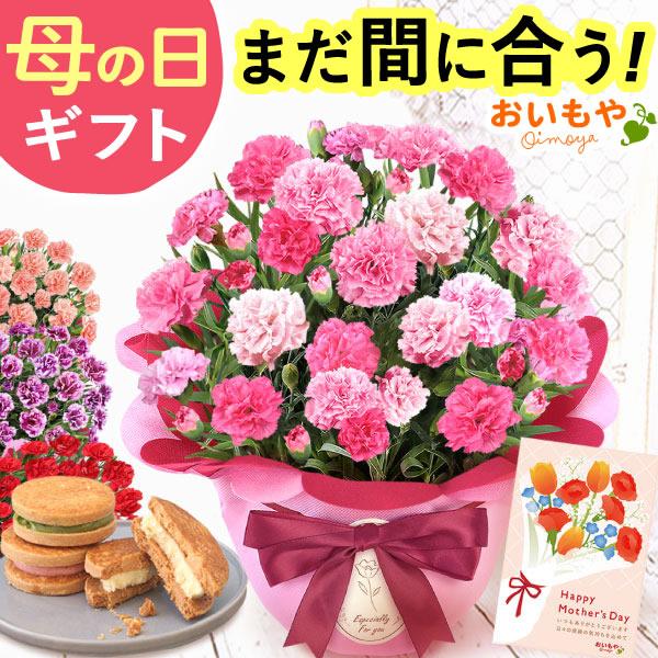 母の日 ギフト 2026 花とスイーツ プレゼント 花 スイーツ カーネーション 鉢植え 花鉢 お菓子 食べ物 バターサンド 50代 60代 70代 80代（Yahoo!・おいもや スイーツと花ギフト）