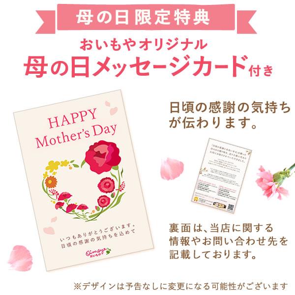 母の日 プレゼント スイーツ ギフト 2024 お菓子 干し芋 焼き芋 和菓子 贈り物 ほしいも 洋菓子 詰め合わせ 贈り物 花以外 食べ物 健康 50代 60代 70代｜oimoya｜19