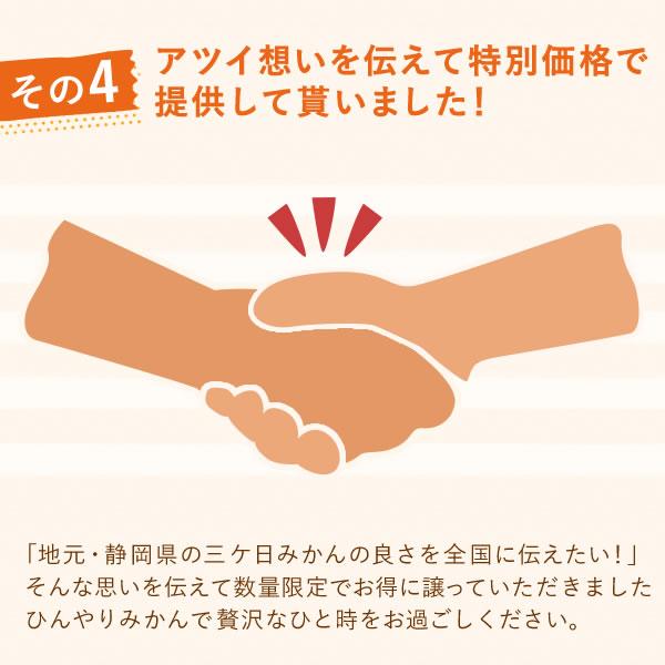 冷凍ブランドみかん 三ヶ日みかん (500g) ひんやり ひとくち むかん むき 剥き ミカン 冷凍フルーツ 蜜柑 デザート スイーツ 果物 くだもの スムージー 静岡｜oimoya｜15