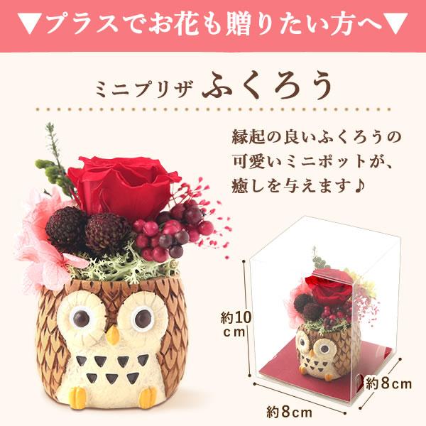 誕生日 ギフト プレゼント 2025 和菓子 花 スイーツ お菓子 クリーム 大福 フルーツ 詰め合わせ 冷凍 花とスイーツ おしゃれ 60代 70代 80代 | おいもや | 16