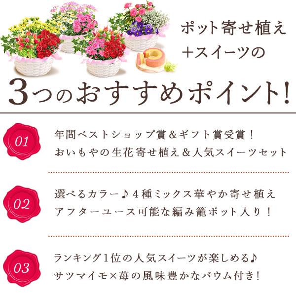 母の日 プレゼント 花 スイーツ 花とスイーツ 2024 ギフト 花鉢 ギフトランキング 鉢植え お菓子 寄せ植え メッセージ カーネーション 60代 70代 80代｜oimoya｜04