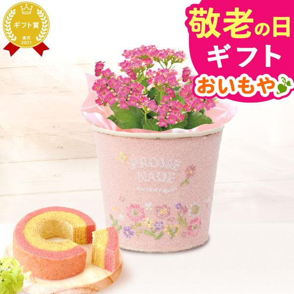 敬老の日 プレゼント ギフト 2026 花 スイーツ カランコエ 生花 お菓子 和菓子 刺繍 3号 花鉢 花とスイーツ おしゃれ セット 80代 70代 60代 祖母 | おいもや