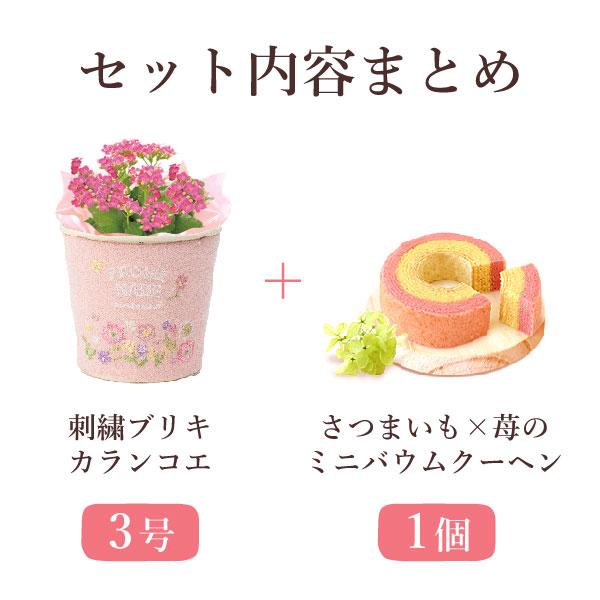 敬老の日 プレゼント ギフト 2026 花 スイーツ カランコエ 生花 お菓子 和菓子 刺繍 3号 花鉢 花とスイーツ おしゃれ セット 80代 70代 60代 祖母 | おいもや | 01
