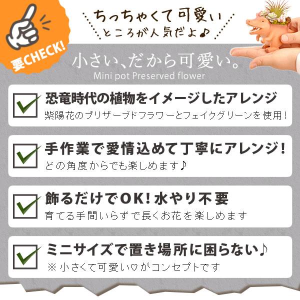 誕生日 プレゼント 子供 女性 ギフト 恐竜 ティラノサウルス トリケラトプス プリザーブドフラワー かわいい 男の子 女の子 50代 60代 70代 | おいもや | 10