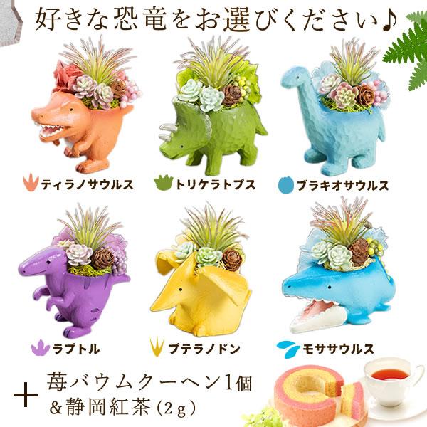 誕生日 プレゼント 子供 女性 ギフト 恐竜 ティラノサウルス トリケラトプス プリザーブドフラワー かわいい 男の子 女の子 50代 60代 70代 | おいもや | 02