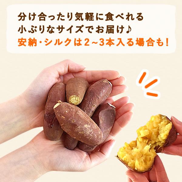 おいもや 【18周年記念】福袋 干し芋 焼き芋 さつまいも ほしいも 国産