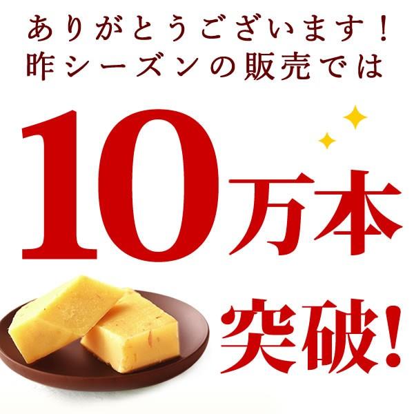 和菓子 お祝い 内祝い プチギフト ギフト スイーツ お菓子 誕生日 プレゼント 芋ようかん 10本 詰め合わせ 女性 男性 50代 60代 70代｜oimoya｜02