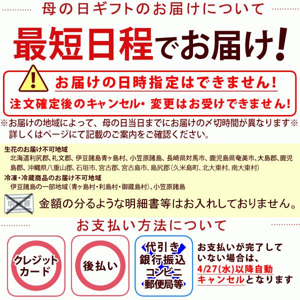 母の日 カーネーション 花鉢 ギフト 花 母の日 プレゼント 花とスイーツ 21 ギフトランキング 鉢植え お菓子 メッセージ 7号鉢 Carnation Eset 花とスイーツ おいもや 通販 Yahoo ショッピング