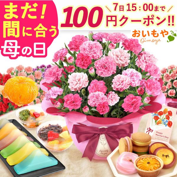 母の日 ギフト 花 2026 カーネーション プレゼント 鉢植え スイーツ 花とスイーツ 5号 お菓子 和菓子 食べ物 セット 50代 60代 70代 80代（Yahoo!・おいもや スイーツと花ギフト）