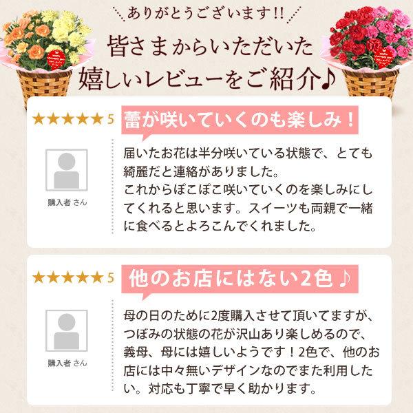 母の日 22 プレゼント スイーツ ギフト 花 2色 カーネーション 5号 鉢植え 花鉢 花とスイーツ ギフトランキング お菓子 60代 70代 80代 Carnation 花とスイーツ おいもや 通販 Yahoo ショッピング