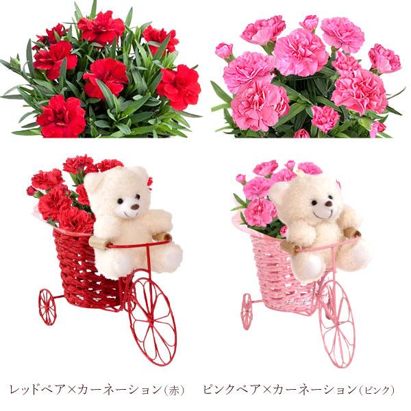 おいもや 母の日 花 猫 ギフト プレゼント 花とスイーツ スイーツ 2026