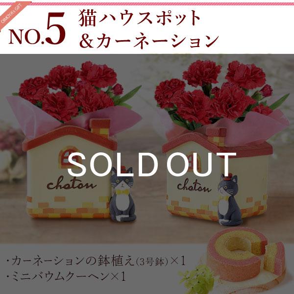 おいもや 母の日 ギフト 2026 花 カーネーション プレゼント 花と