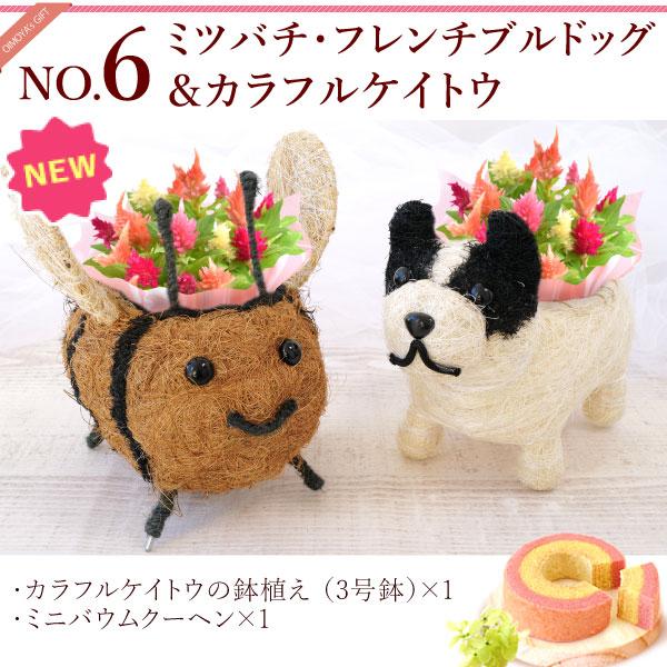 おいもや 母の日 ギフト 2026 花 カーネーション プレゼント 花と