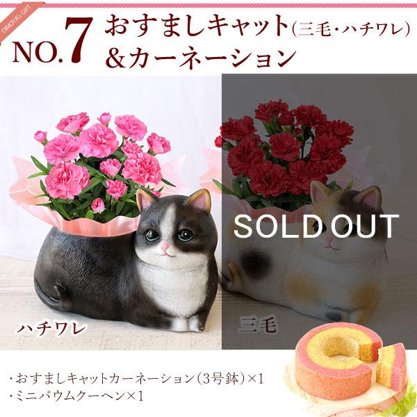 おいもや 母の日 ギフト 2026 花 カーネーション プレゼント 花と