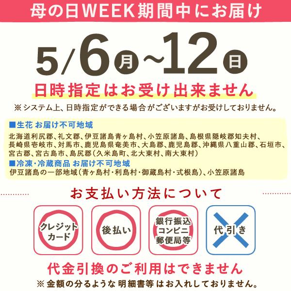 母の日 2024 プレゼント ギフト 花 カーネーション 鉢植え 犬 アニマル スイーツ お菓子 花とスイーツ フラワーギフト 50代 60代 70代｜oimoya｜17