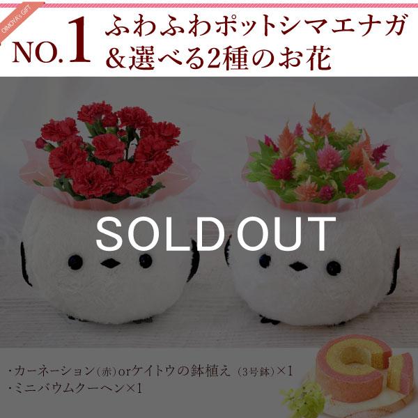 おいもや 母の日 ギフト 2026 花 カーネーション プレゼント 花と