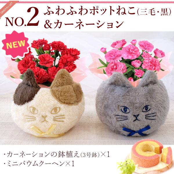 おいもや 母の日 ギフト 2026 花 カーネーション プレゼント 花と