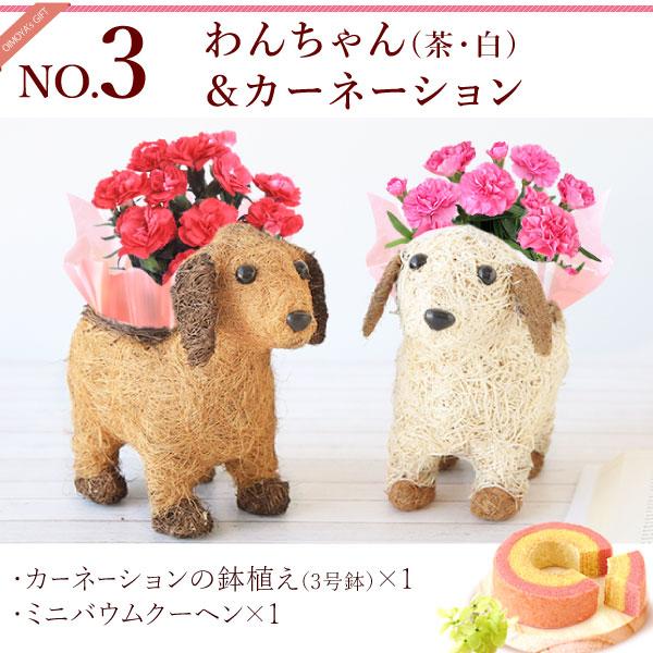 おいもや 母の日 ギフト 2026 花 カーネーション プレゼント 花と