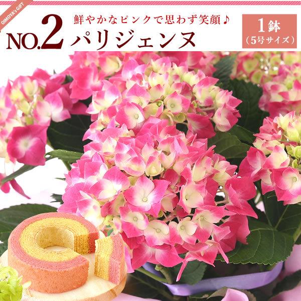 母の日 21 ギフト あじさい 花 スイーツ 母の日 プレゼント 花とスイーツ ギフトランキング 紫陽花 アジサイ 鉢植え お菓子 Flower Eset 花とスイーツ おいもや 通販 Yahoo ショッピング