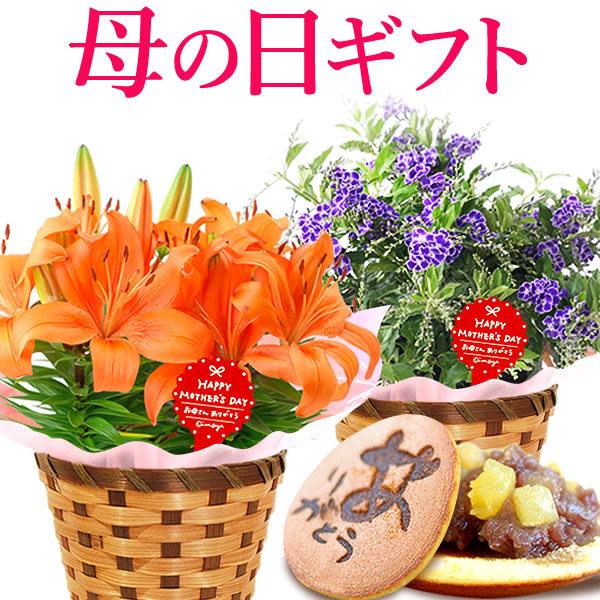 母の日 22 プレゼント ギフト 花 スイーツ 鉢植え 珍しい カーネーション 以外 花とスイーツ ギフトランキング お菓子 ユリ メッセージ 60代 70代 80代 Flower Gset1 花とスイーツ おいもや 通販 Yahoo ショッピング
