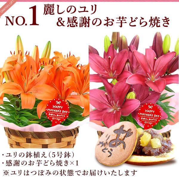 母の日 22 プレゼント ギフト 花 スイーツ 鉢植え 珍しい カーネーション 以外 花とスイーツ ギフトランキング お菓子 ユリ メッセージ 60代 70代 80代 Flower Gset1 花とスイーツ おいもや 通販 Yahoo ショッピング