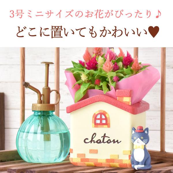 母の日 21 花 プレゼント スイーツ ギフト 花とスイーツ ギフトランキング 鉢植え お菓子 アニマル キャラクター 可愛い Flower Jset 花とスイーツ おいもや 通販 Yahoo ショッピング