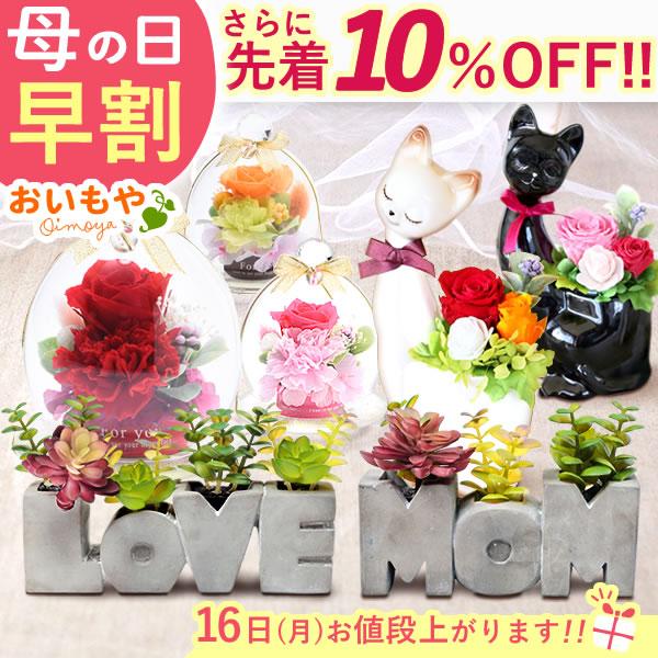 誕生日 プレゼント 花 猫 ギフト プリザーブドフラワー スイーツ セット 花とスイーツ お菓子 おしゃれ バラ 女性 母 誕生日プレゼント 祖母 | おいもや