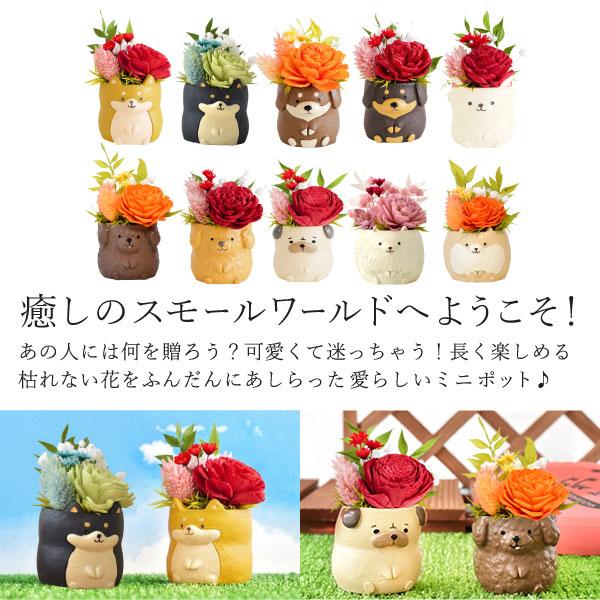 おいもや 誕生日 プレゼント 女性 ギフト 犬 ソーラーフラワー