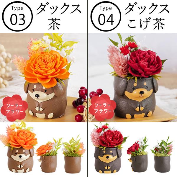 おいもや 母の日 ギフト プレゼント 2026 早割 犬 プリザーブド
