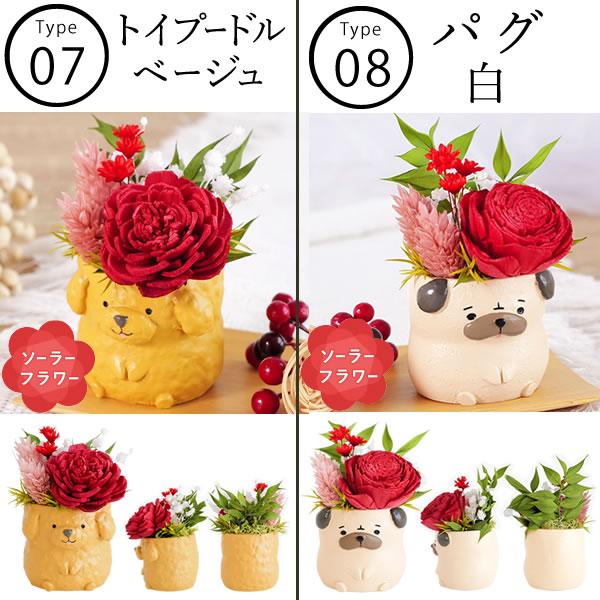 おいもや 誕生日 プレゼント 女性 ギフト 犬 ソーラーフラワー