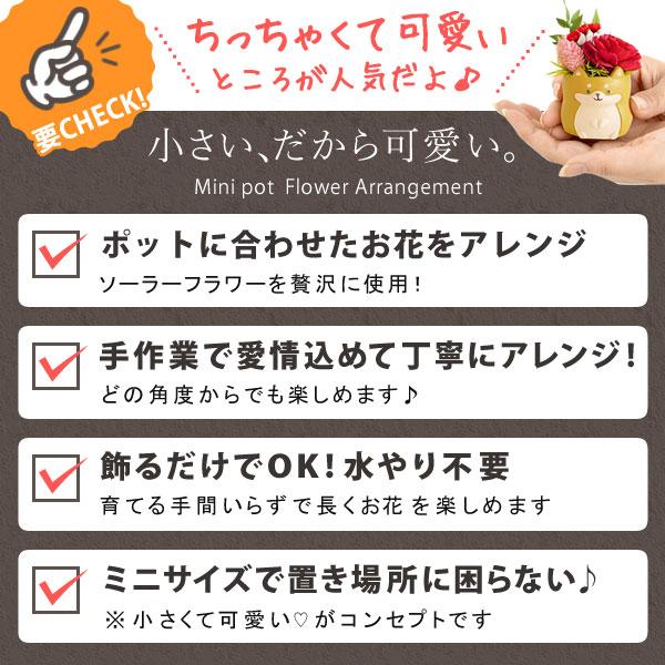 おいもや 誕生日 プレゼント 犬 女性 花 ギフト プリザーブドフラワー